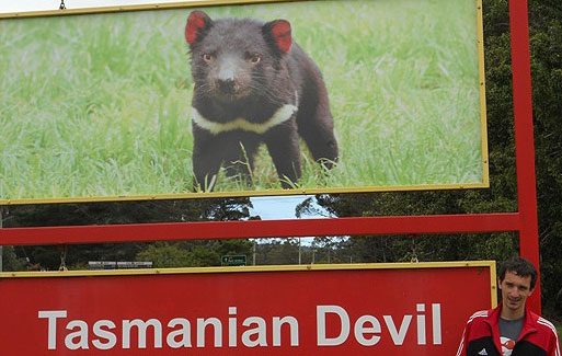 ...nego tasmanijski đava!