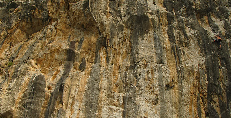 Branko enyoing I kiseli kupus (6c)