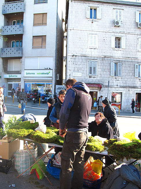 Điletin je nosia čak i jučer (21.12.) kad je iša kupit mahovine !!!