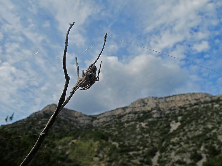 Eldorado na Kaštilu!