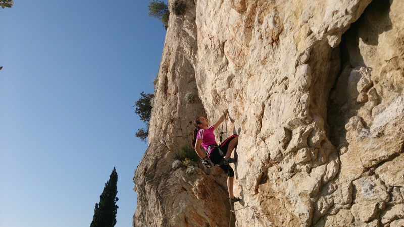 Carsko vino, 7a