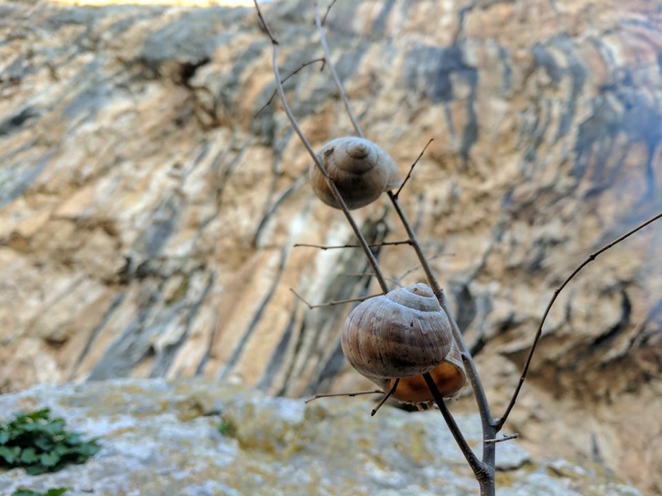 Blagaj, sektor Puž / ivor: FB-Blagaj climbing