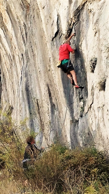 Švicarska podružnica pokreta